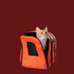 Carriers & Strollers