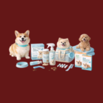 Flea & Tick Control