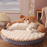 HOOPET Cat Bed Pet Pad Cushion for Small Medium Dogs Sleeping Beds Cats Durable Mat Removable Mat Pet Supplies - Image 6
