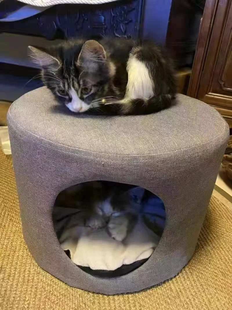 Multifunctional Cat Bed Closed Four Seasons Universal Cat House Stool Solid Wood Small Kennel Cat House Multifunctional Cat Bed Closed Four Seasons Universal Cat House Stool Solid Wood Small Kennel Cat House
