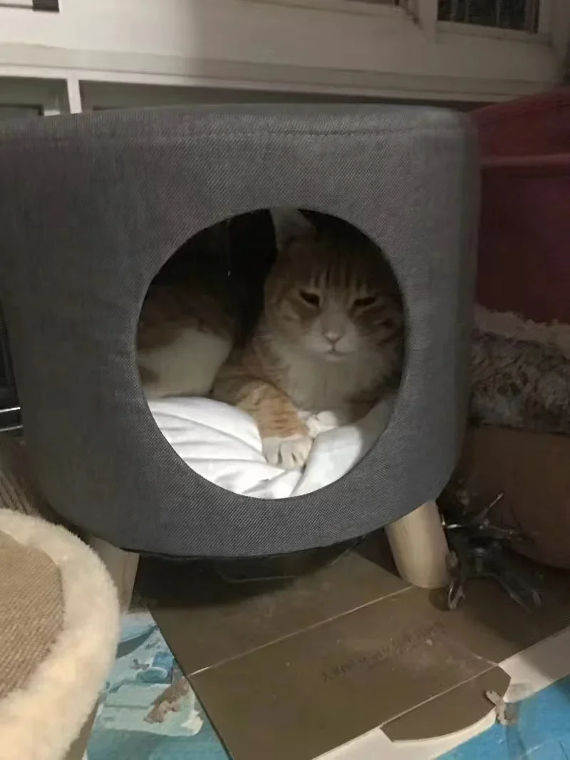 Multifunctional Cat Bed Closed Four Seasons Universal Cat House Stool Solid Wood Small Kennel Cat House Multifunctional Cat Bed Closed Four Seasons Universal Cat House Stool Solid Wood Small Kennel Cat House