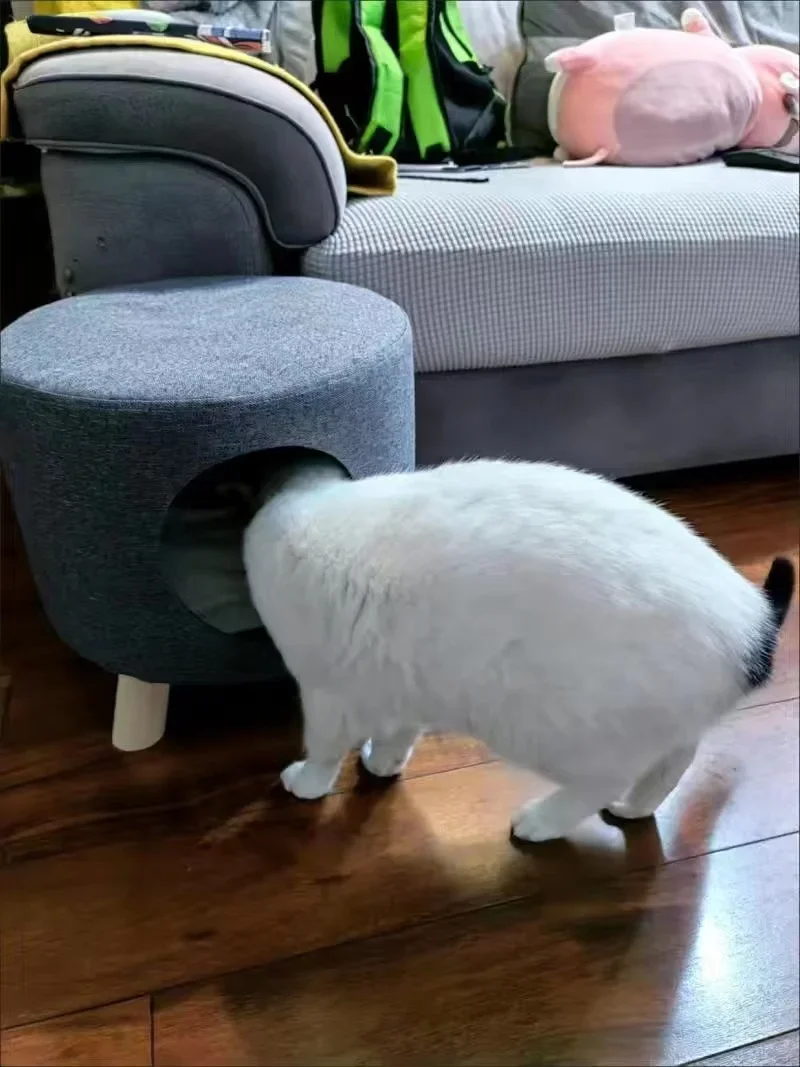 Multifunctional Cat Bed Closed Four Seasons Universal Cat House Stool Solid Wood Small Kennel Cat House Multifunctional Cat Bed Closed Four Seasons Universal Cat House Stool Solid Wood Small Kennel Cat House