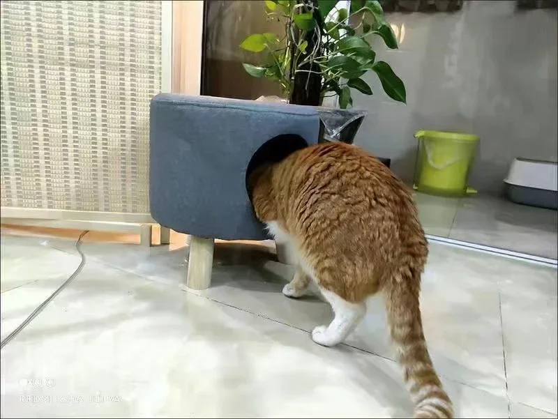 Multifunctional Cat Bed Closed Four Seasons Universal Cat House Stool Solid Wood Small Kennel Cat House Multifunctional Cat Bed Closed Four Seasons Universal Cat House Stool Solid Wood Small Kennel Cat House
