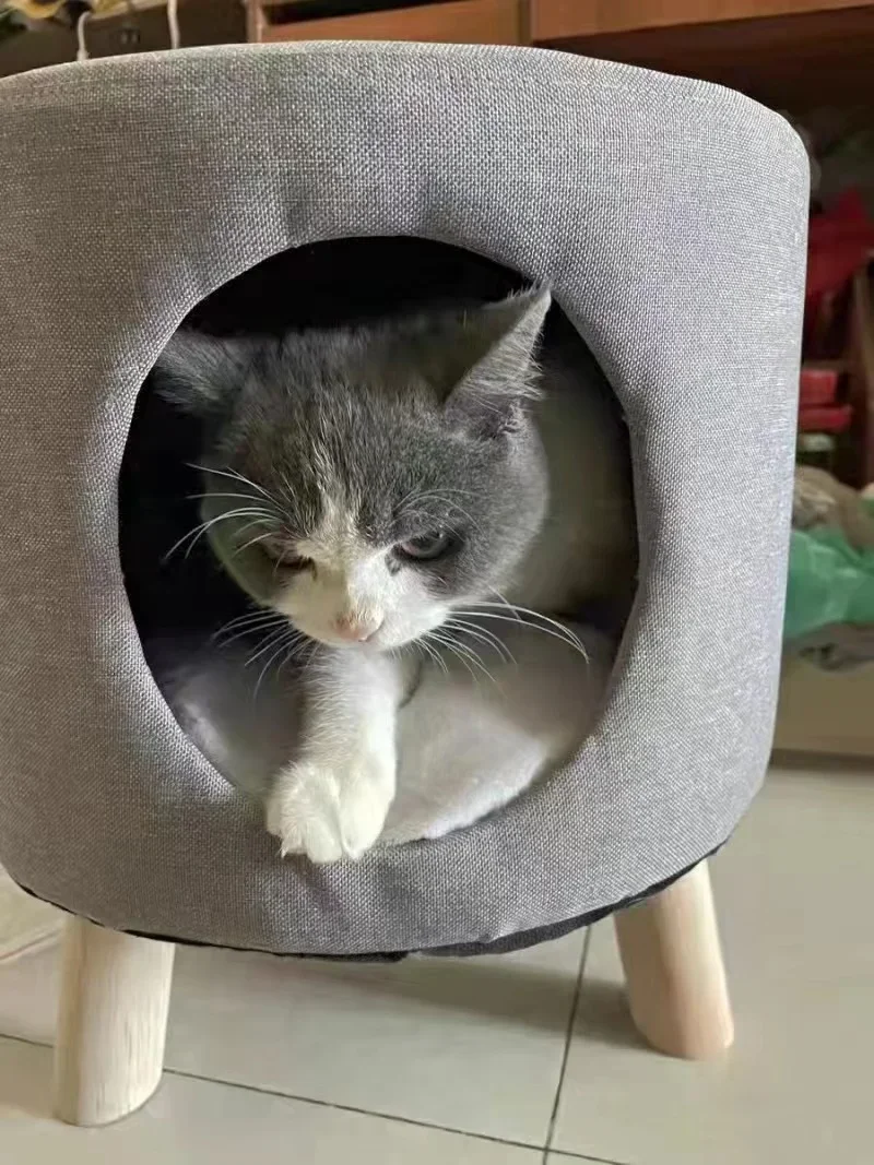 Multifunctional Cat Bed Closed Four Seasons Universal Cat House Stool Solid Wood Small Kennel Cat House Multifunctional Cat Bed Closed Four Seasons Universal Cat House Stool Solid Wood Small Kennel Cat House