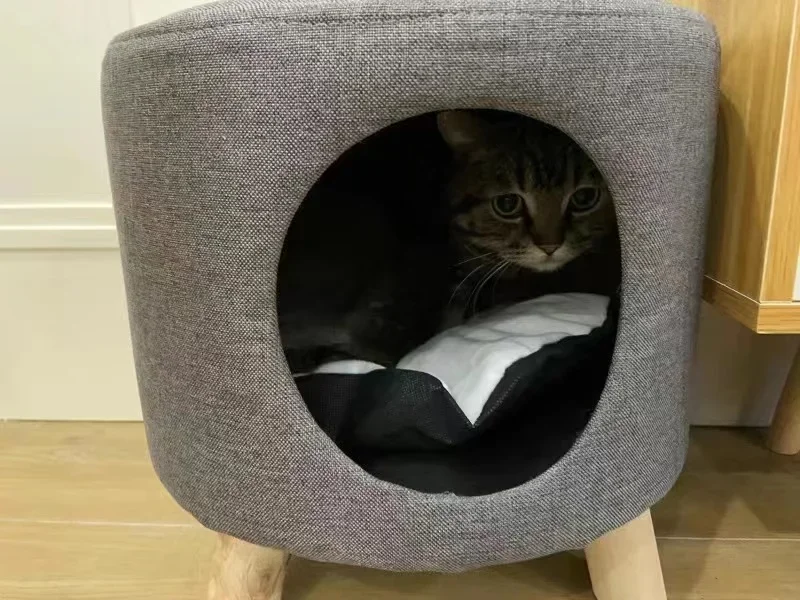 Multifunctional Cat Bed Closed Four Seasons Universal Cat House Stool Solid Wood Small Kennel Cat House Multifunctional Cat Bed Closed Four Seasons Universal Cat House Stool Solid Wood Small Kennel Cat House