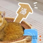 Hot Spring Felt Cat Nest Semi-enclosed Large Space Felt Kitten Beds Wear-resistant Cat House Hiding Cave Pet Cat Bed Furniture - Image 4