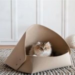 Felt Bed for Cats House With Breather Hole Dog Bed Interactive Play Toys for Cats to Hide 2 in 1 Tunnel for Cats Bed