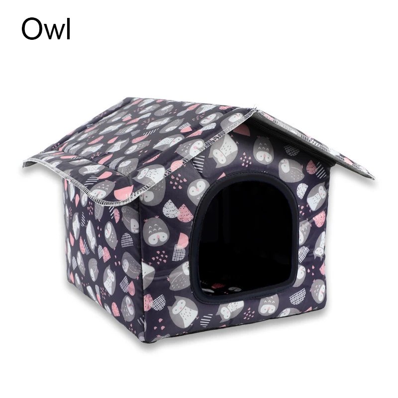 owl