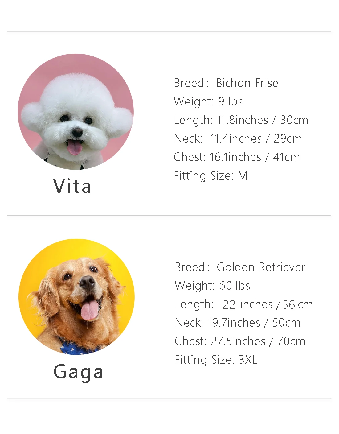 Premium Dog Bone Paw Print Jacquard Chain-Link Sweater Premium Dog Bone Paw Print Jacquard Chain-Link Sweater