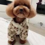 Autumn Winter Soft Cat Dog Clothes Cartoon Pet Warm Thickening Cute Thermal Dogs Clothes Fashion Plush Dogs Coat Pet Supplies - Image 3