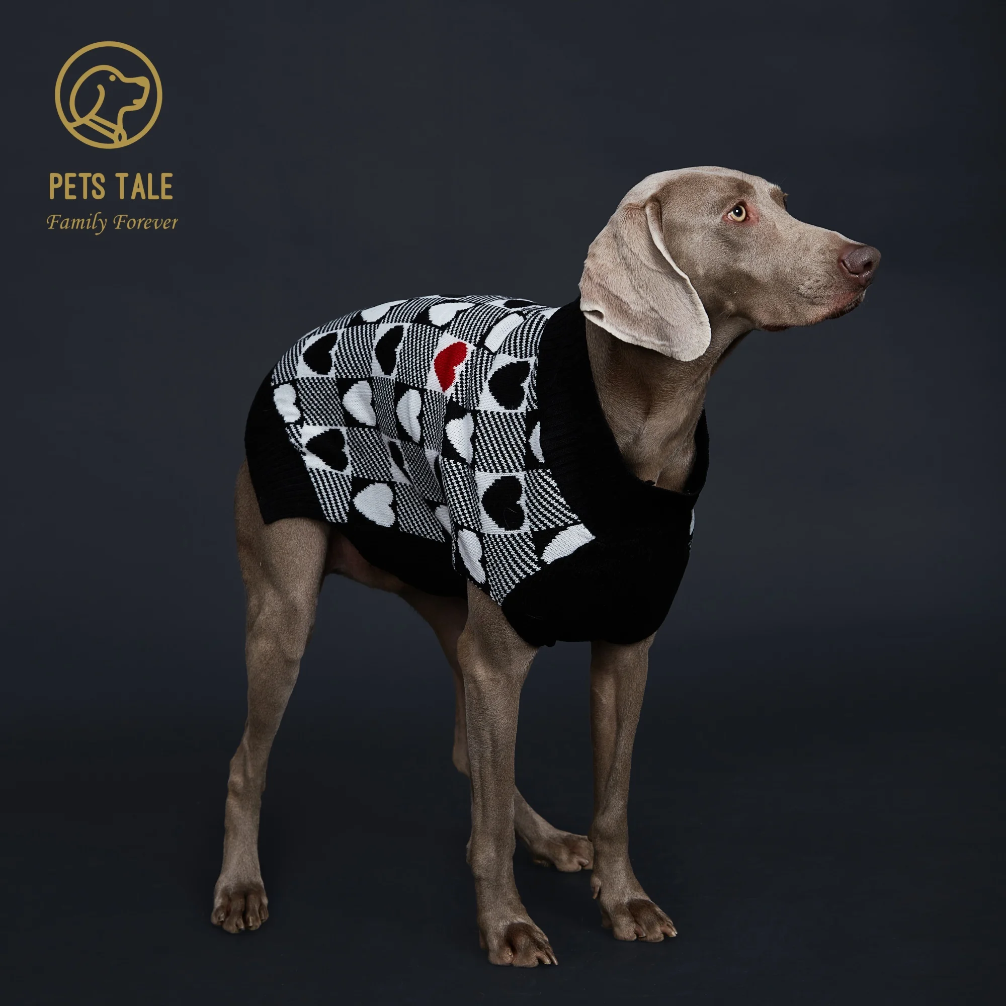 Buffalo Check Love-Heart Intarsia D-Ring Hole Dog Sweater Buffalo Check Love-Heart Intarsia D-Ring Hole Dog Sweater