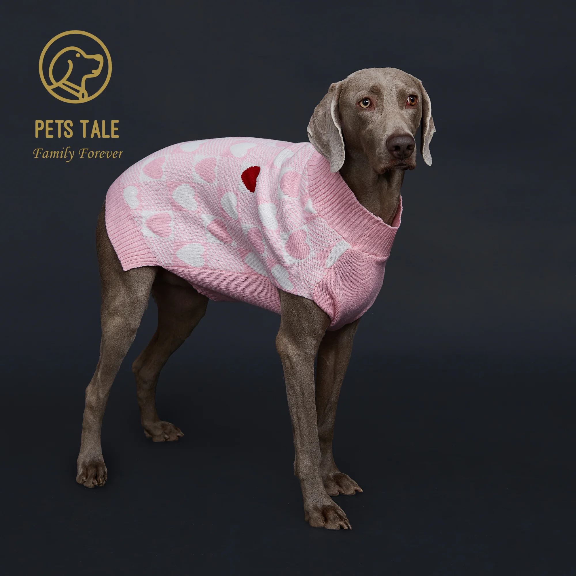 Buffalo Check Love-Heart Intarsia D-Ring Hole Dog Sweater Buffalo Check Love-Heart Intarsia D-Ring Hole Dog Sweater