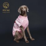 Buffalo Check Love-Heart Intarsia D-Ring Hole Dog Sweater - Image 2