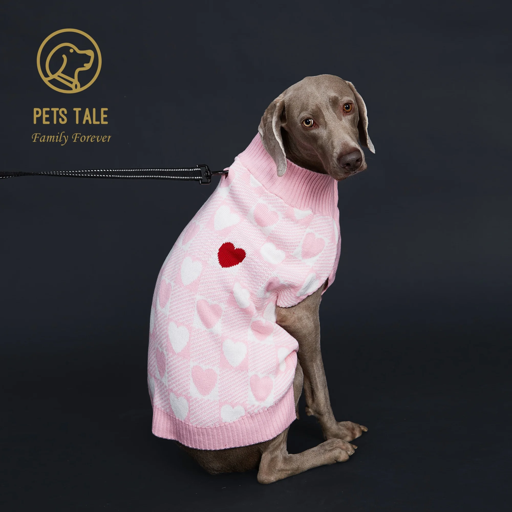 Buffalo Check Love-Heart Intarsia D-Ring Hole Dog Sweater Buffalo Check Love-Heart Intarsia D-Ring Hole Dog Sweater