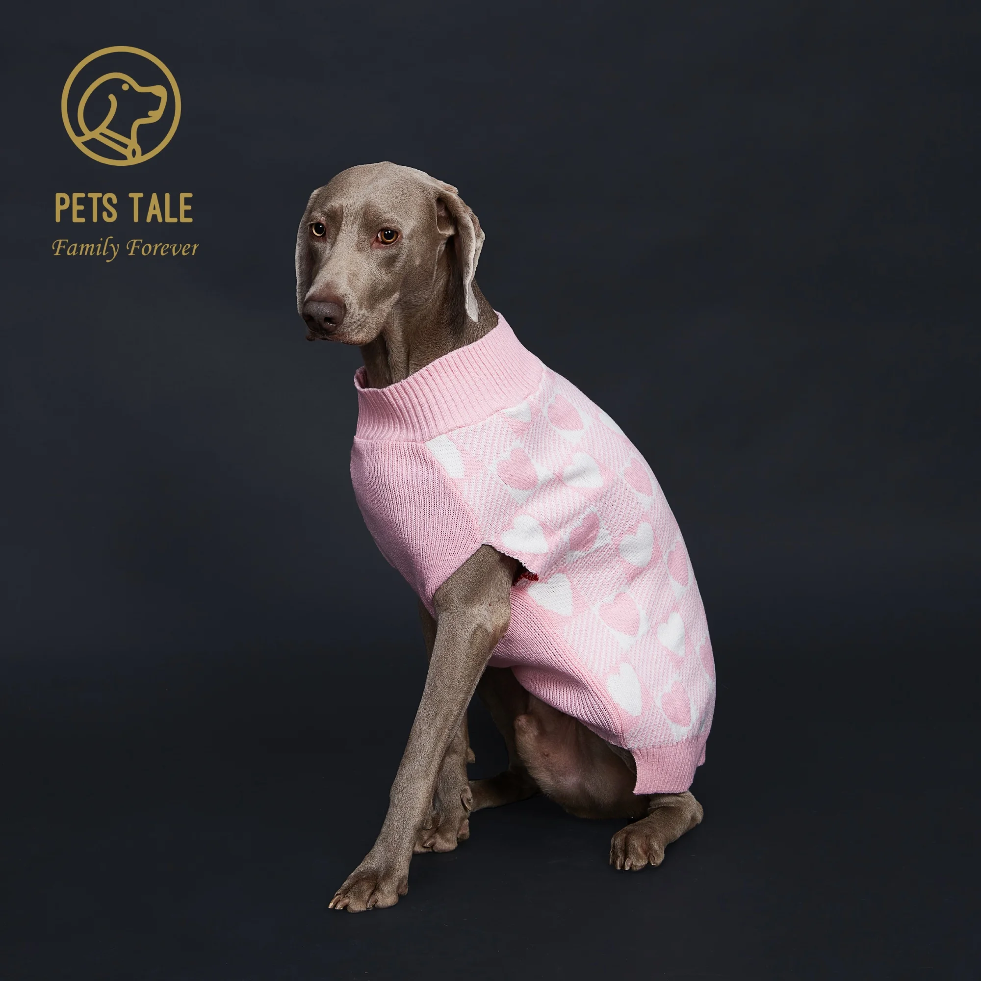 Buffalo Check Love-Heart Intarsia D-Ring Hole Dog Sweater Buffalo Check Love-Heart Intarsia D-Ring Hole Dog Sweater