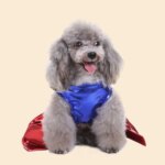 Outfits Halloween Pet Dress-Up Cosplay Clothes for Small Medium Dogs - Image 3