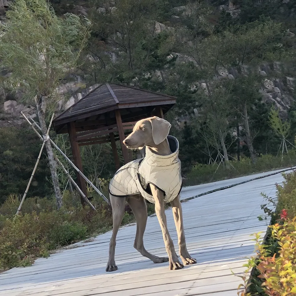 Reflective Pet Dog Outdoor Jacket Pet Coat Vest Winter Warm Reflective Cotton Dogs Clothing for Large Middle Dogs Labrador Reflective Pet Dog Outdoor Jacket Pet Coat Vest Winter Warm Reflective Cotton Dogs Clothing for Large Middle Dogs Labrador