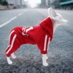 Brand Design Adidog Clothing Dog Jumpsuit Sports Suit Spring Dog Clothes for Small Dogs Chihuahua Terrier Beagle Pet Apparel - Image 4