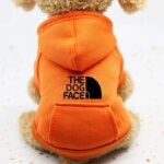 Autumn and winter sweater cowboy pocket two-legged clothes sports wind pet clothes dog cat pet clothes supplies - Image 4