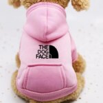 Autumn and winter sweater cowboy pocket two-legged clothes sports wind pet clothes dog cat pet clothes supplies - Image 5