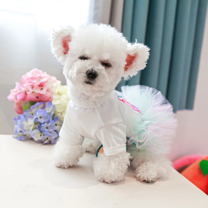 Layered Rainbow Veil Puppy Summer Clothes for Small Dogs Birthday Short Sleeve Pet Dog Dresses Princess Summer New Cat Clothing Layered Rainbow Veil Puppy Summer Clothes for Small Dogs Birthday Short Sleeve Pet Dog Dresses Princess Summer New Cat Clothing