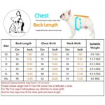 Designer Trendy Dog Clothes Winter Warm Pet Coat Small Medium Dog Face Stereo Logo For Chihuahua French Bulldog Costume - Image 6