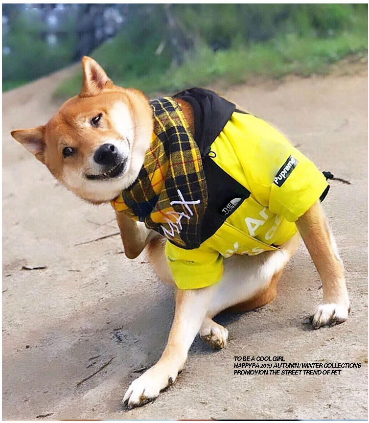 Pet Dog Waterproof Coat Dog Raincoat Reflective Dog Outdoor Clothes Hooded Jacket for Small Medium Large Dog Pet Supplies