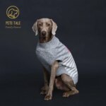 Doggie's Gray Striped Pink Faux Mink Yarn Love-Heart Intarsia Sweater with D-Ring Holes - Image 5