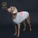 Doggie's Gray Striped Pink Faux Mink Yarn Love-Heart Intarsia Sweater with D-Ring Holes - Image 2