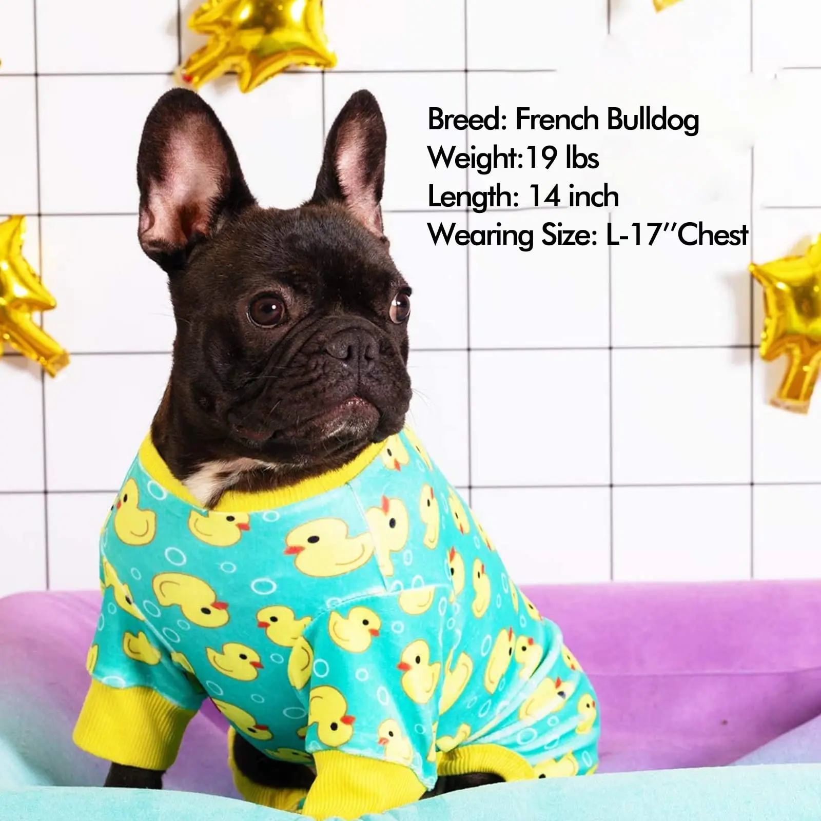 Dogs Pajamas Yellow Duck for Small Dogs Soft Material Stretchable Dog Jammies Cat Pajamas Dog Apparel Dogs Pajamas Yellow Duck for Small Dogs Soft Material Stretchable Dog Jammies Cat Pajamas Dog Apparel