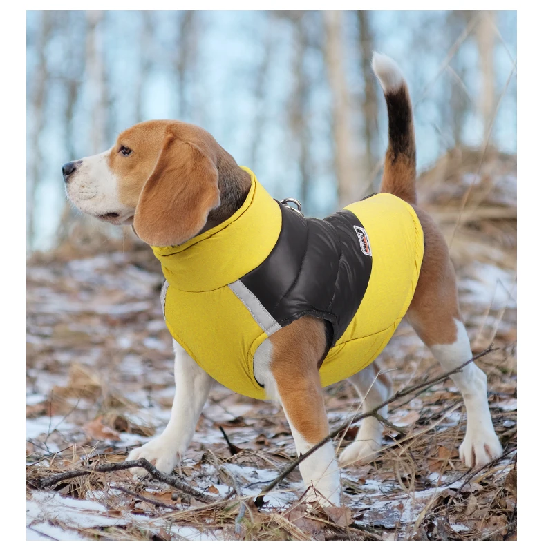 Winter Clothes for Dogs Warm Clothing Labrador Cotton Coat Harnesses Pet Products Clothes for Small Large Dog Reflective Stripe Winter Clothes for Dogs Warm Clothing Labrador Cotton Coat Harnesses Pet Products Clothes for Small Large Dog Reflective Stripe