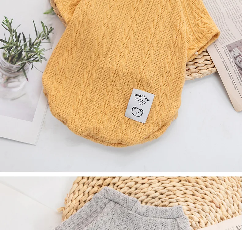 Winter Dog Clothes For Small Dog Designer Luxury Jersey Wool Dog Sweater For Chihuahua York Bulldog Sphynx Cat Knitting Clothing