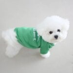 Autumn and winter pet clothes, cute English letter velvet round neck hoodie, super cute cat and dog universal clothes, fashionab - Image 6