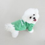Autumn and winter pet clothes, cute English letter velvet round neck hoodie, super cute cat and dog universal clothes, fashionab - Image 5