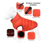 Autumn Winter New Double-Sided Warm Dog Cotton Clothes Pet Clothes One Piece through the Winter Dog Clothes - Image 3