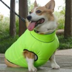 Autumn Winter New Double-Sided Warm Dog Cotton Clothes Pet Clothes One Piece through the Winter Dog Clothes - Image 6