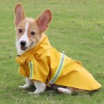 Large Dog Raincoat Corgi Cloak Style Puppy Waterproof Dog Clothes Reflective Pet Windproof Rainproof Hooded Raincoat for Dog - Image 6