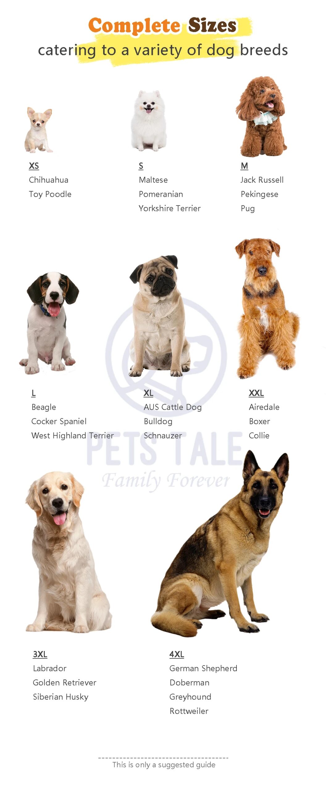 Premium Dog Polka Dot Colorful Pom-Pom Double Collar Chain-Hole Sweater Premium Dog Polka Dot Colorful Pom-Pom Double Collar Chain-Hole Sweater