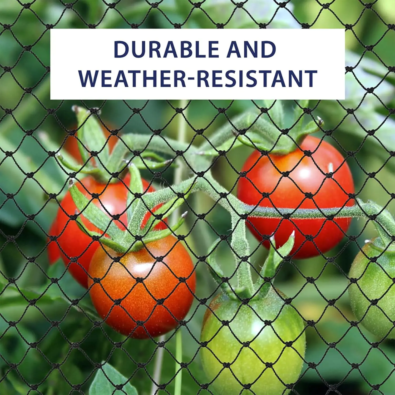 Steel Wire Reinforced Cat Netting for Balcony,Cat Anti-Fall Net,Garden Net Anti Bird Netting with Wire for Windows,Stair Lawn Steel Wire Reinforced Cat Netting for Balcony,Cat Anti-Fall Net,Garden Net Anti Bird Netting with Wire for Windows,Stair Lawn