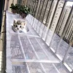 Durable Cat Balcony Safety Net, Plastic Mesh Guardrail for Pet Protection, Prevents Falls & Ensures Safe Resting Spaces for Cat - Image 2
