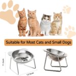 Stainless Steel Cat Bowls Raised Whisker Fatigue Relief Cat Plates Pet Water Dish Kitten Bowls Pet Bowls for Cats Food Bowls - Image 6