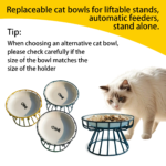 Oitabi 3PCS No Spill Cat Bowls Sets, Cat Food Bowl, Anti Whisker Fatigue Ceramic Cat Dishes Set, Shallow Wide Kitten Plates - Image 3