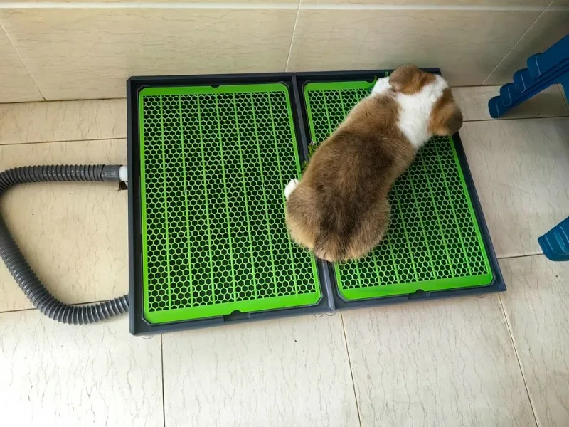 Flush Dog Toilet Direct Drainage System Dog Toilet Training Walls Pet Potty Indoor with Drain Pets Urinal Large Medium Supplies