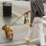 Waste Bags Dispenser Flashlight Poop Connection Holder Pet Litter Box with Light Pet Leash Pendant Outdoor Equipment Dog - Image 6