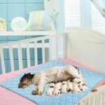 Large Size Reusable 3 Layers Pet Diaper Pads Pee Quickdry Waterproof for Cats Dog Pet Puerpera Mat Sheet Protector Supplies