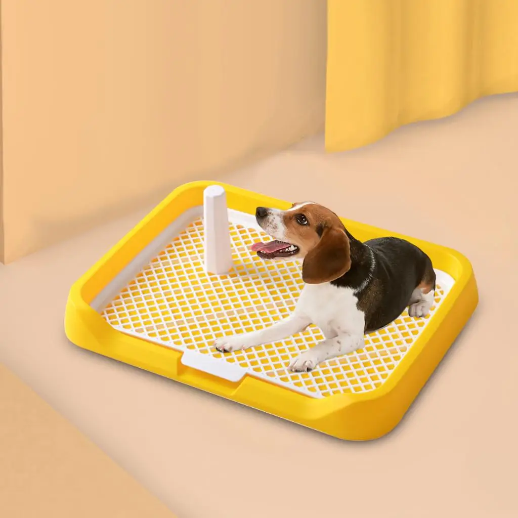 Pee Pad Holder Potty Pads Reusable Mesh Open Top Training Toilet Potty Tray Comfortable Toilet with Protection for Large Puppy Pee Pad Holder Potty Pads Reusable Mesh Open Top Training Toilet Potty Tray Comfortable Toilet with Protection for Large Puppy