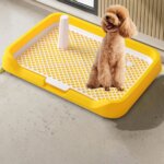 Pee Pad Holder Potty Pads Reusable Mesh Open Top Training Toilet Potty Tray Comfortable Toilet with Protection for Large Puppy - Image 5
