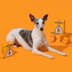 Orange Flavor Dogs Poo Bags Portable Dog Walking Bag with Fragrance Outdoors Degradable Garbage Bags Pet Supplies Accessories - Image 2