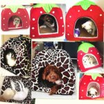 Cute Strawberry Pet Dog Cat House Foldable Warm Soft Winter Dog Bed Sofa Cave Puppy Dog House Kennel Nest for Small Dogs Cats - Image 2