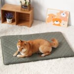 Four Seasons Universal Dog Bed Mat Removable Washable Dogs Pad Pet Special Kennels Accesorios for Small Medium Large Dogs Cats - Image 4